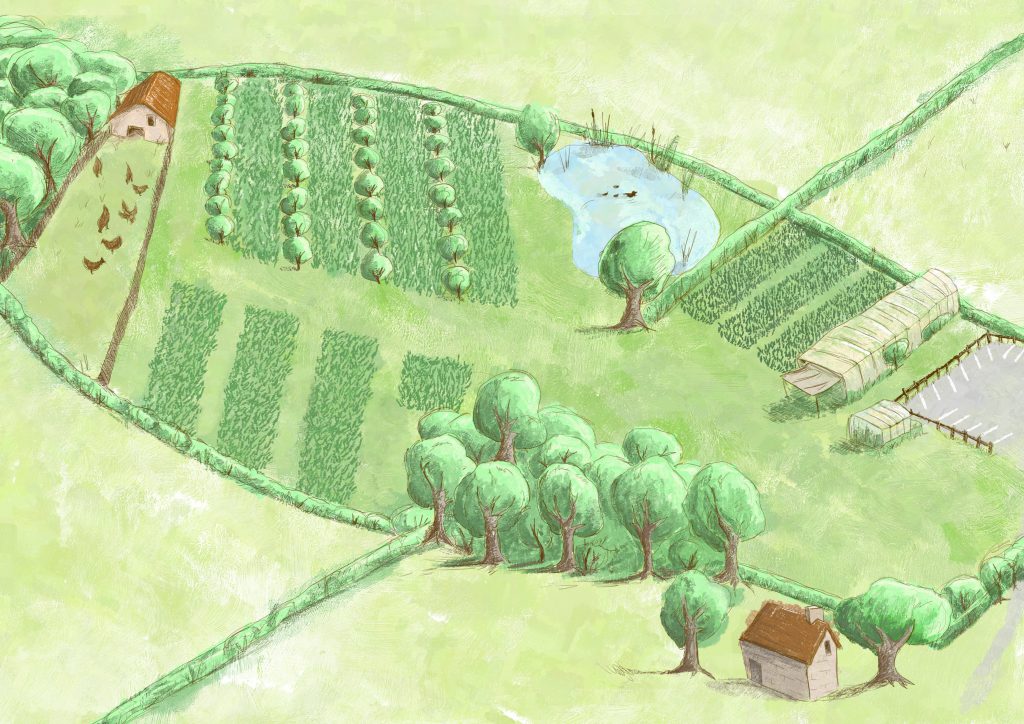 Dessin de la ferme
