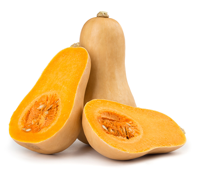 Butternut – EARLY BUTTERNUT