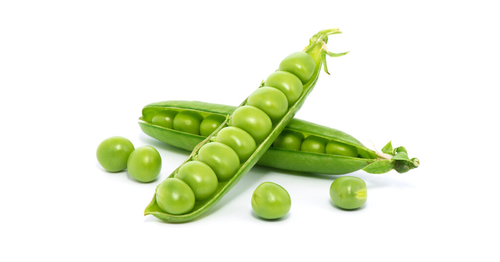 Petit pois - BUDY